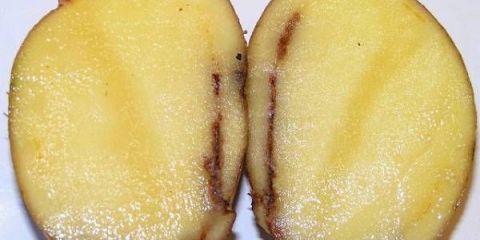 Mjere suzbijanja prstenaste truleži krompira